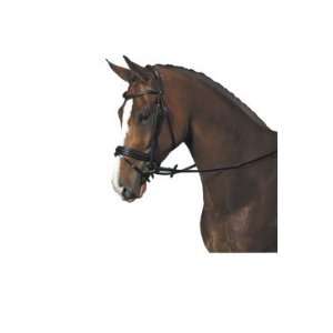  ISABELL WERTH APACHE BRIDLE: Sports & Outdoors