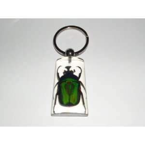   Insect Keychain   Green Rose Chafer Beetle (SK1041) 