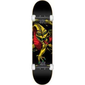   Dragon 3 Rasta Complete Skateboard   8.0 w/Thunders