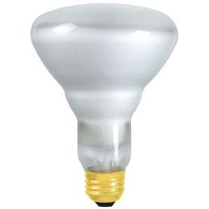   Watt Medium Base Halogen BR30 Bulb (40BR30/HES/120V): Home Improvement