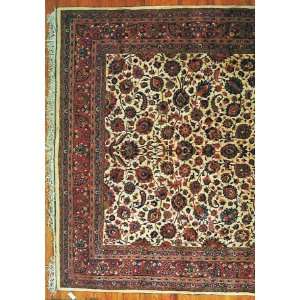  10x16 Hand Knotted Meshed Persian Rug   105x160