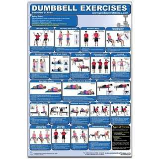  Dumbbell Exercises Shoulders & Arms Laminated (Poster 