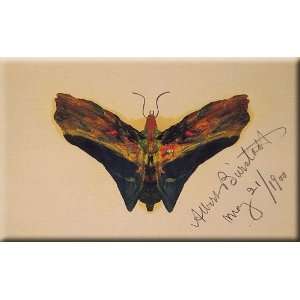  Butterfly (second version) 16x10 Streched Canvas Art by 