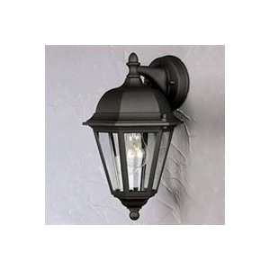    Outdoor Wall Sconces Forte Lighting 1761 01: Home Improvement