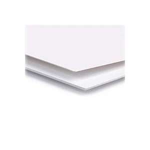   Conservation Mat Board, 13 x 19, 2 Ply, Pearl White, Package of 25