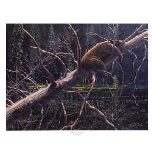 Wildes and Dreams Finest LAMINATED Print Patrick A. Lundquist 26x20