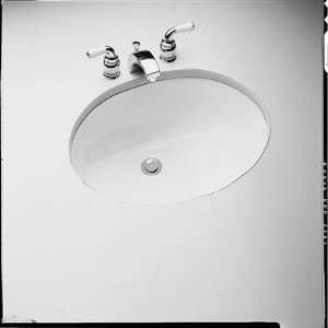  Petite Tiara Undermount Bathroom Sink Finish: White: Home 