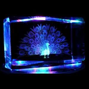  3D Laser Etched Crystal includes Two Separate LEDs Display Light Base