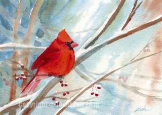 Janet Zeh Snow Birds Fine Art Note Cards Set Stationery  