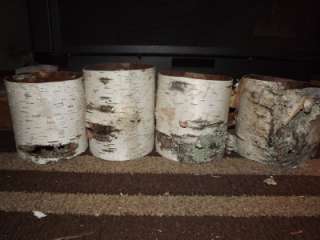 Birch Bark Tube lot, 11p, Wedding decor, vases, crafts, centerpieces 