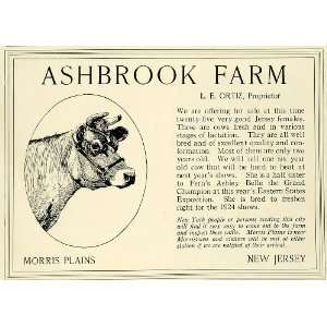 1923 Ad Ashbrook Farm Morris Plains New Jersey L. E. Ortiz Jersey Cows 