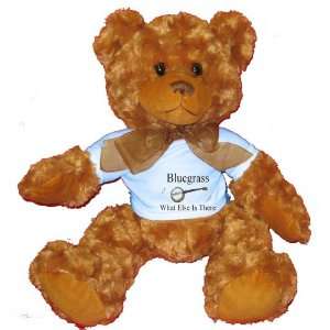  Bluegrass What Else Is There Plush Teddy Bear with BLUE T 