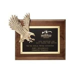  8217.9    Soaring Eagle plaque 