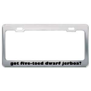 Got Five Toed Dwarf Jerboa? Animals Pets Metal License Plate Frame 