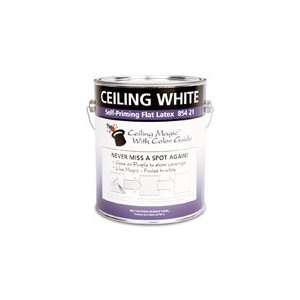  854 21 1G CEILING MAGIC PAINT SIZE1 GAL.