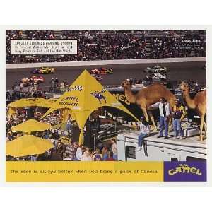   Better When You Bring a Pack of Camels Cigarette Print Ad: Home