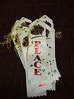 2nd Place pinewood derby award ribbons lot of 25