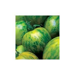  TOMATO Green Zebra Great Garden Heirloom Vegetable 50 