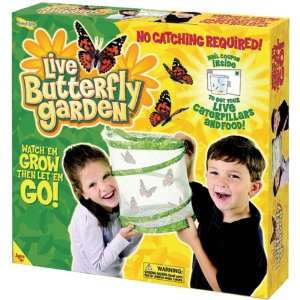  Live Butterfly Garden Kit  (1010): Arts, Crafts & Sewing
