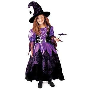 Purple Spider Witch Kids Costume: Toys & Games