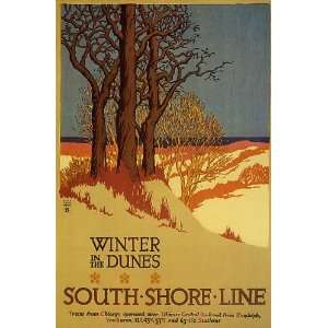 WINTER IN THE DUNES LANDSCAPE SOUTH SHORE LINE CHICAGO 
