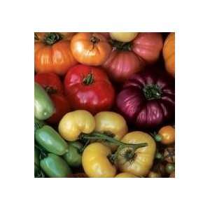  50 Tomato Rainbow Mix Seed Patio, Lawn & Garden