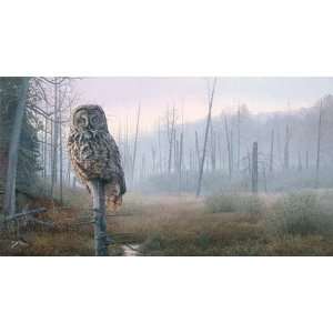  Brent Townsend   Silent Hunter   Great Gray Owl Canvas 