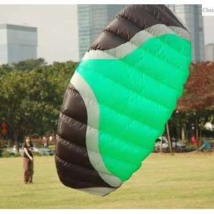  3sq m 40d nylontwo line dual traction /power kites 3 color 
