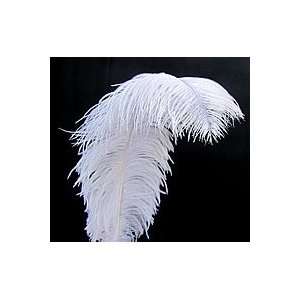  White Ostrich Feathers 18/22 Everything Else