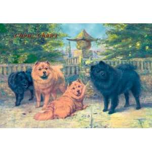  Four Champion Chow Chows 12x18 Giclee on canvas