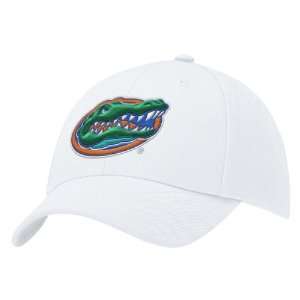  Florida Gators Nike White Swoosh Flex Cap: Sports 