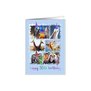  Colorful 36th Birthday Zoo Animals Card Toys & Games