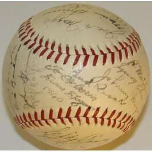   Reach Baseball JOE DIMAGGIO   Autographed Baseballs: Sports & Outdoors