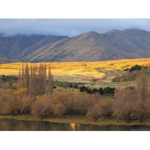 Glendhu Bay, Lake Wanaka, Wanaka, Central Otago, South Island, New 