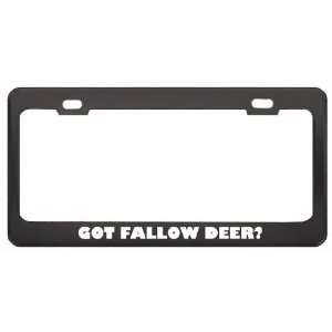Got Fallow Deer? Animals Pets Black Metal License Plate Frame Holder 