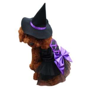  Anit Accessories Witch Dog Costume, 12 Inch