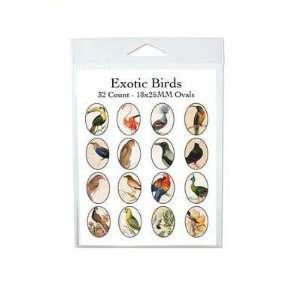  25mm Oval Exotic Birds Collage Sheet: Arts, Crafts 