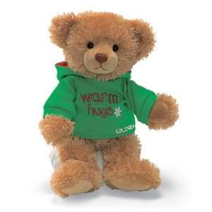 Gund Bear Hugs 11 Inch Bear   Warm Hugs 