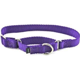 Premier Collar, Extra Large 1 Inch, Deep Purple by Premier