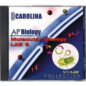 AP Biology Lab 6 Molecular Biology CD ROM, Network  