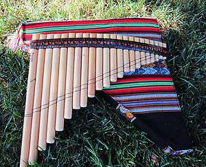 PROFESSIONAL ANTARA ANDEAN PAN FLUTE 22 PIPES  INCLUDED CASE ITEM IN 