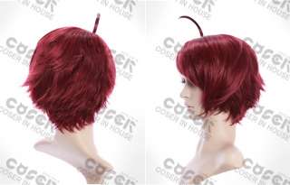 APH Axis Powers Austria Cosplay Wig Costume  