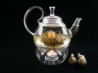Glass Teapot + Warmer + 36 Blooming Flowering Tea  