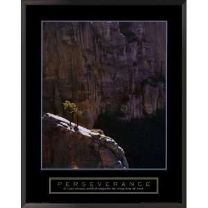  Grand Canyon Lone Pine Tree Framed Motivational Poster 