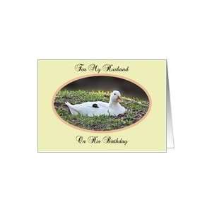  husband birthday, Mother Duck with baby under wing Card 