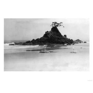  Rabbit Rock Near Gleneden, Oregon Pacific Ocean Photograph 
