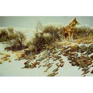     Coyote in Winter Sage Artists Proof Canvas Giclee