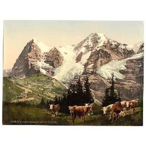  Wengern,Monch and Eiger,Bernese Oberland,Switzerland: Home 