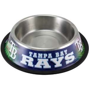  Tampa Bay Rays Stainless Steel Pet Bowl