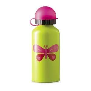   Eco Water Bottle Safe Back to School Lunch Box Travel: Everything Else